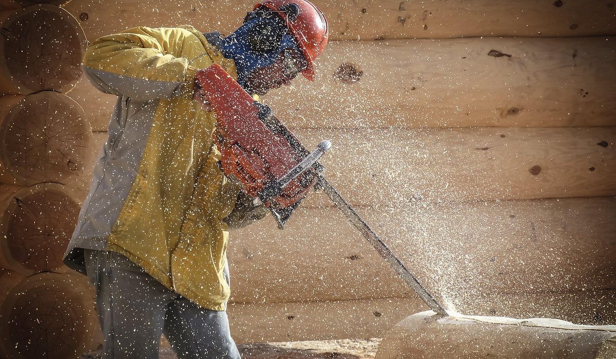 How to assess a log cabin before you buy