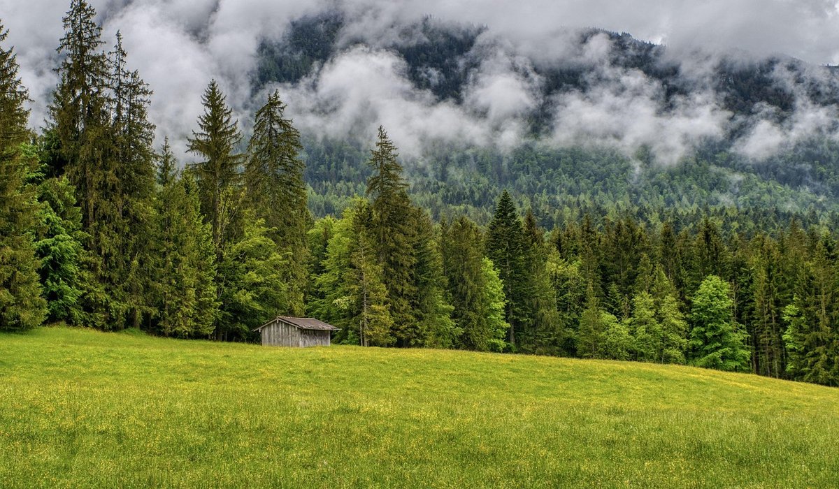 Permitted development rights for garden cabins