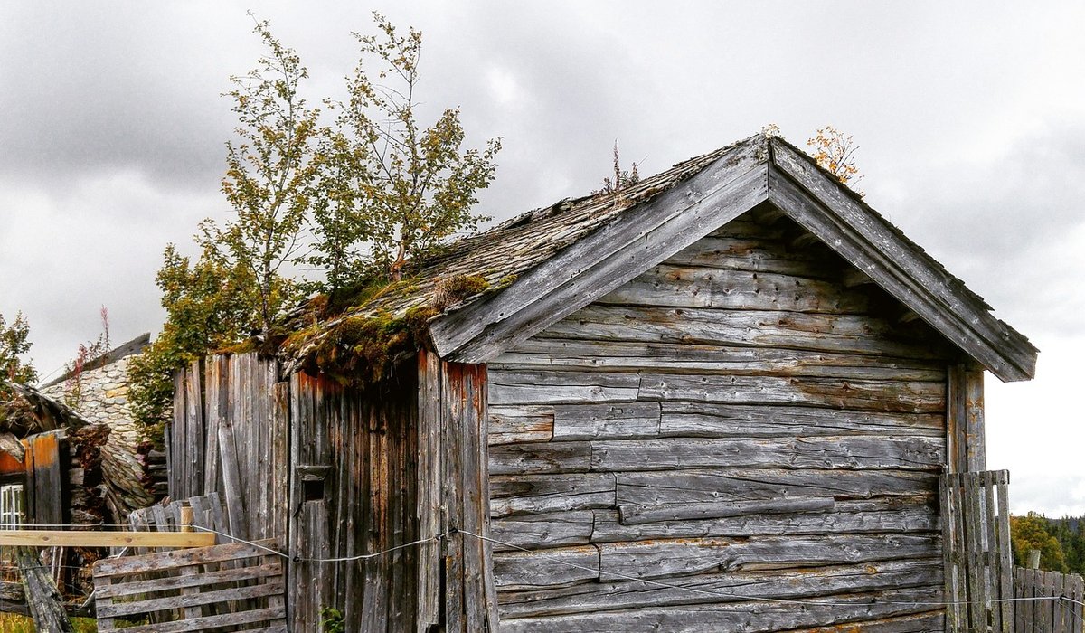 Questions to ask when viewing a woodland cabin